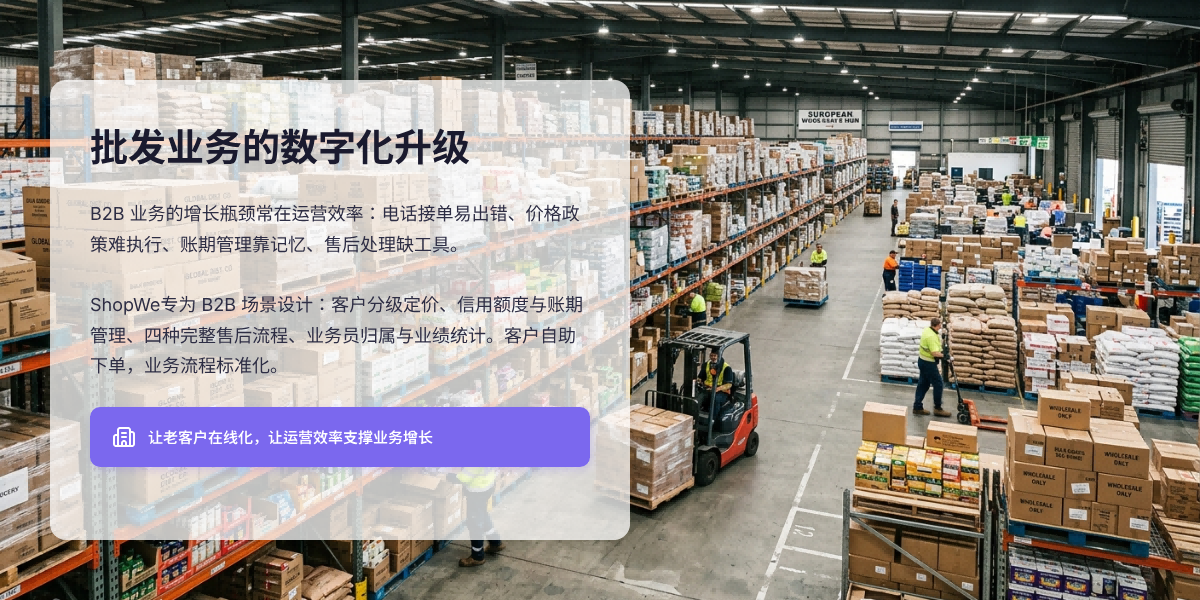 B2B批发独立站